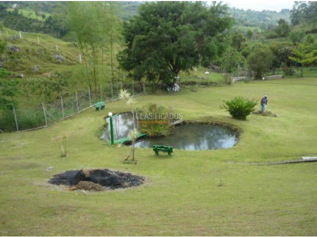 Fincas y Casas Campestres, Venta en Dagua