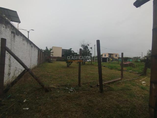 Lotes, Venta en Palmira