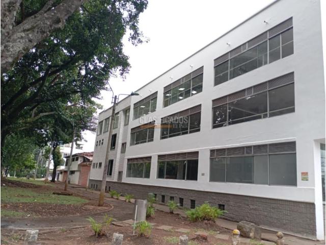 Edificios, Alquiler en El Limonar