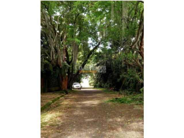 Lotes, Venta en Pance