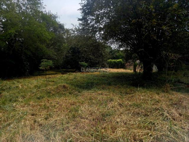 Lotes, Venta en Pance