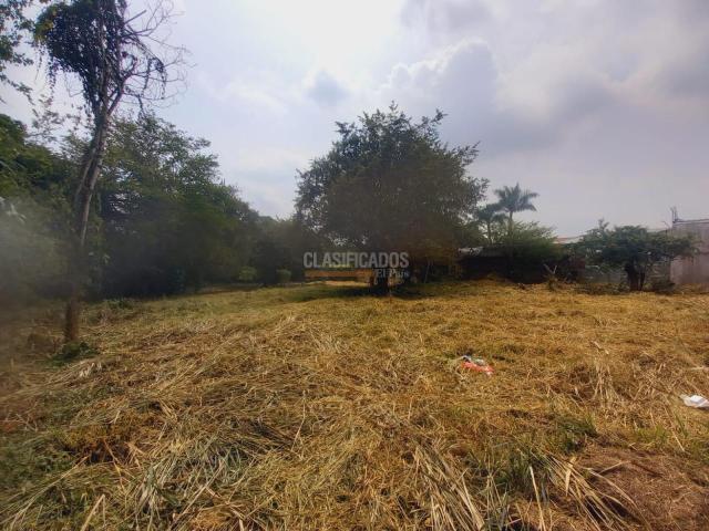 Lotes, Venta en Pance