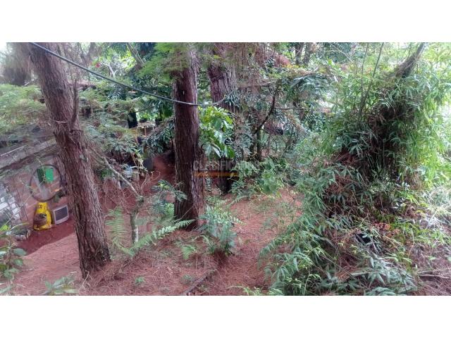 Lotes, Venta en Bella Suiza