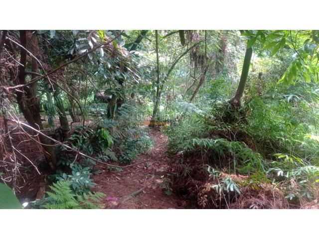 Lotes, Venta en Bella Suiza