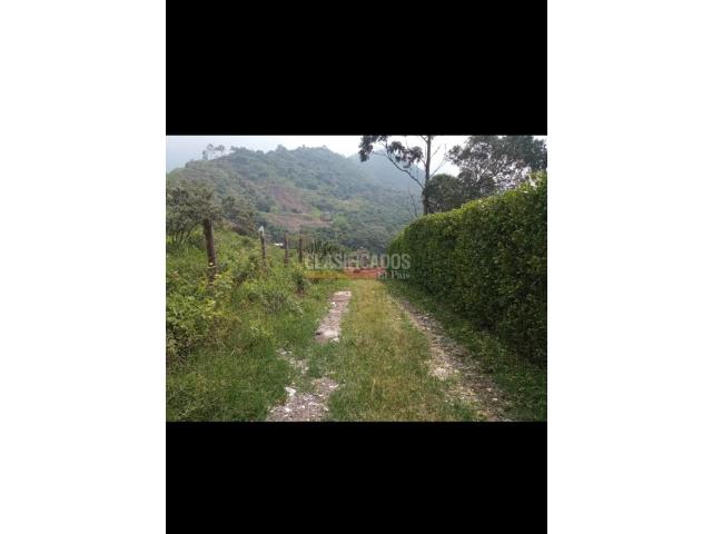 Lotes, Venta en Montebello