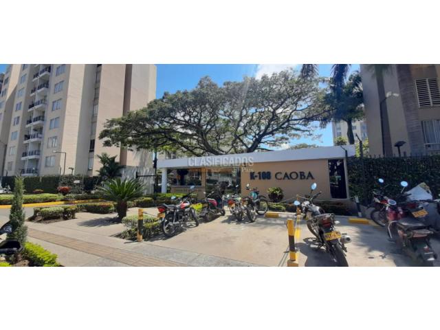 Apartamentos, Alquiler en Ciudad Bochalema