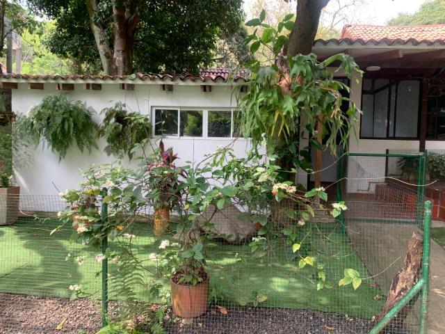 Casas, Alquiler en Yumbo