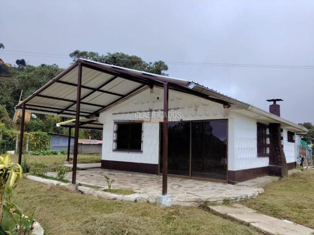 Casas, Alquiler en La Elvira
