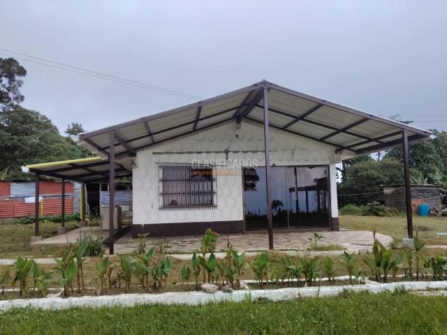 Casas, Alquiler en La Elvira