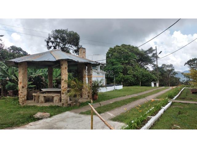 Casas, Alquiler en La Elvira