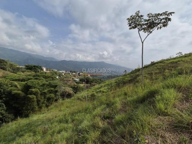 Lotes, Venta en La Reforma