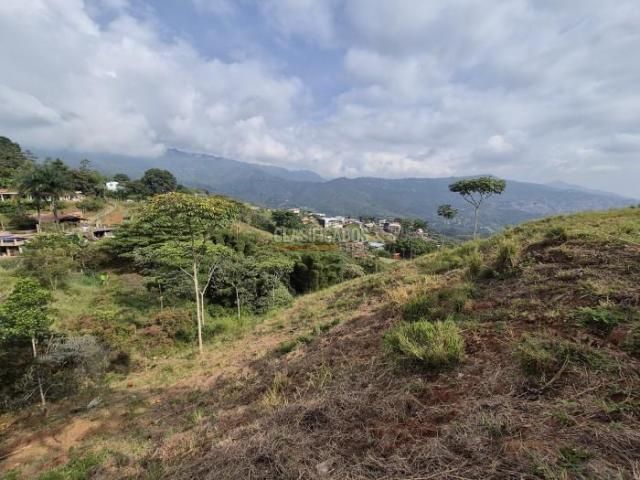 Lotes, Venta en La Reforma