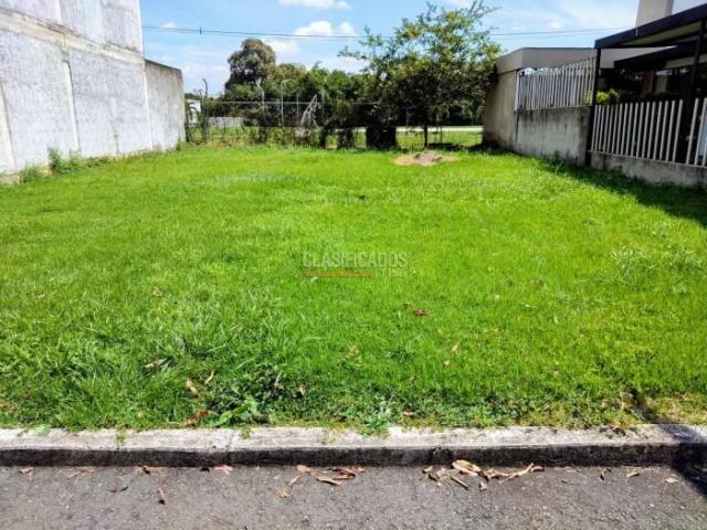 Lotes, Venta en Jamundí