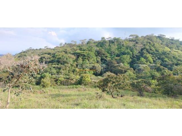 Lotes, Venta en Pance