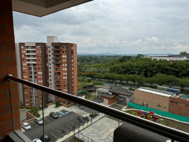 Apartamentos, Alquiler en Pereira