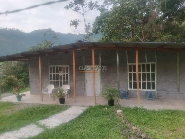 Fincas y Casas Campestres, Venta en Pradera