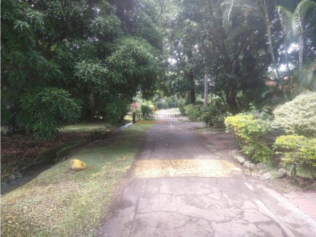 Fincas y Casas Campestres, Venta en Pance