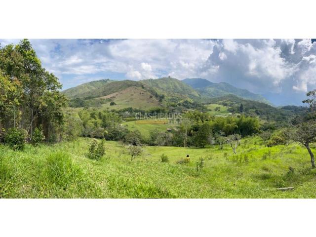 Lotes, Venta en Pance