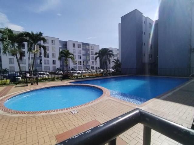 Apartamentos, Alquiler en Brisas de los Álamos