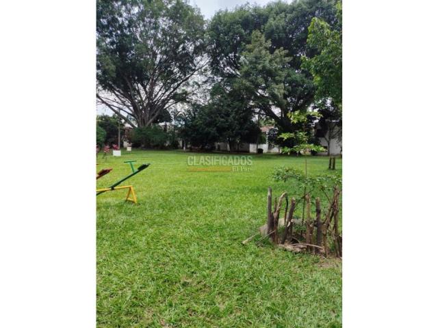 Edificios, Venta en El Limonar