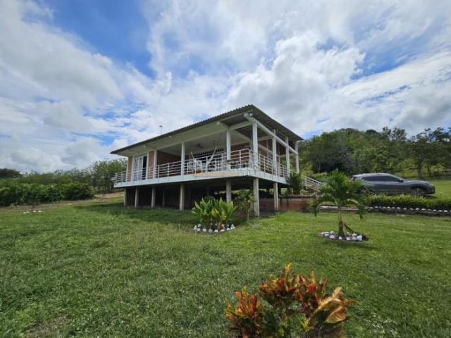 Fincas y Casas Campestres, Venta en Zarzal