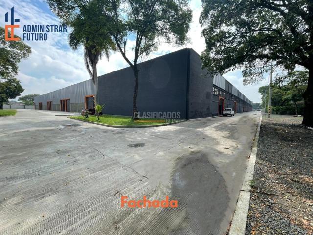 Locales y Bodegas, Alquiler en Palmira