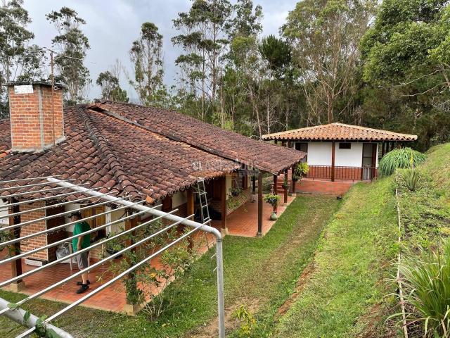 Fincas y Casas Campestres, Venta en Dagua