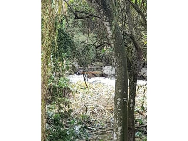 Lotes, Venta en Pance