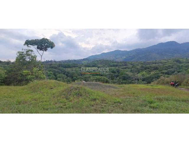 Lotes, Venta en Pance