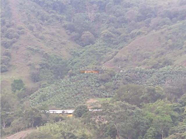 Fincas y Casas Campestres, Venta en Guacarí