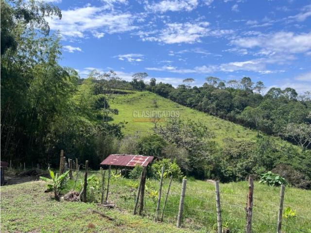 Lotes, Venta en Pance