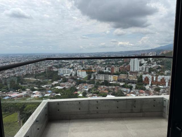 Apartamentos, Alquiler en Bellavista