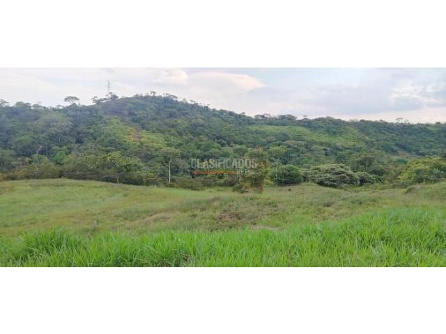 Lotes, Venta en Pance