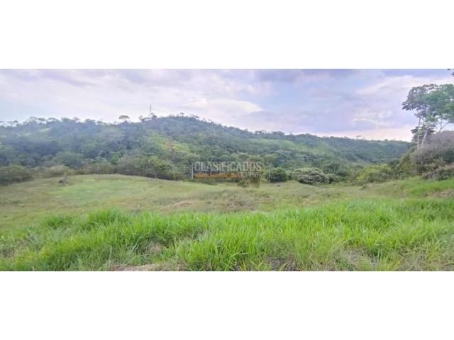 Lotes, Venta en Pance