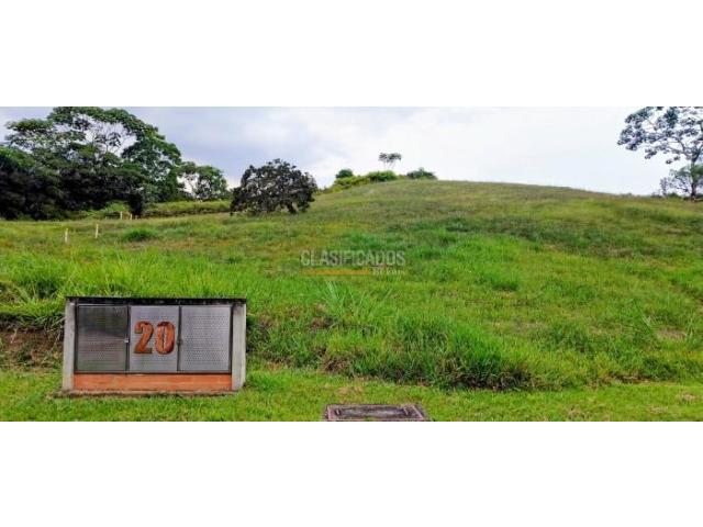 Lotes, Venta en Pance