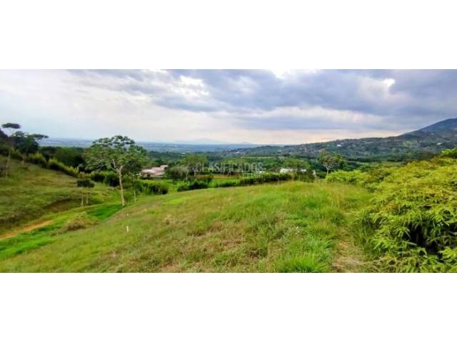 Lotes, Venta en Pance