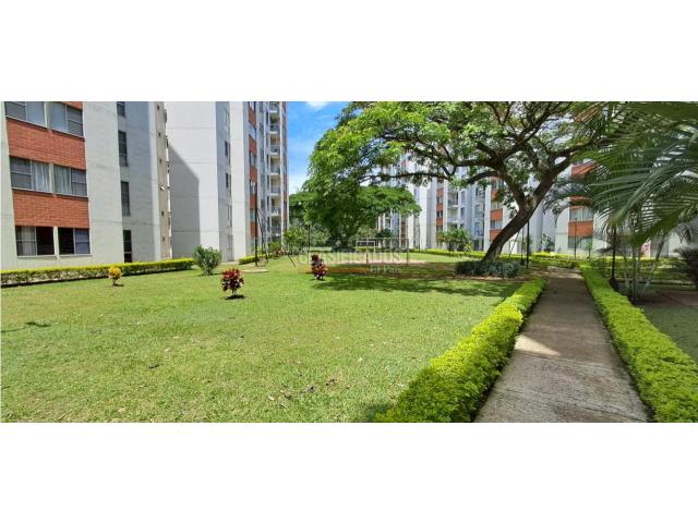 Apartamentos, Alquiler en Jamundí