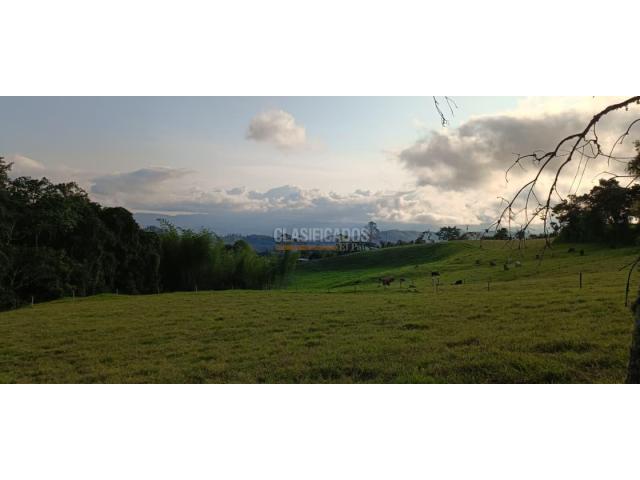 Fincas y Casas Campestres, Venta en Restrepo