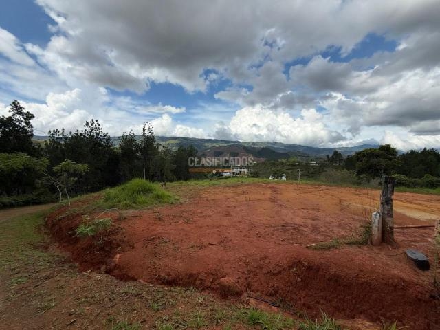 Locales y Bodegas, Venta en Dagua