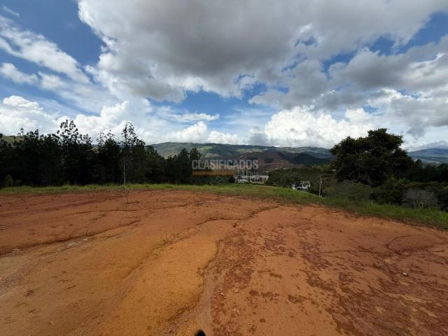 Locales y Bodegas, Venta en Dagua