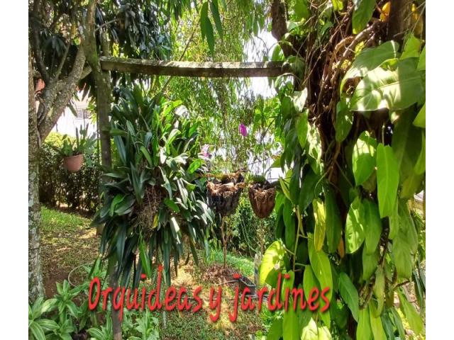 Casas, Venta en Bella Suiza