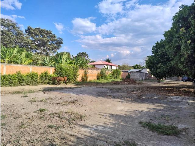 Lotes, Venta en Palmira