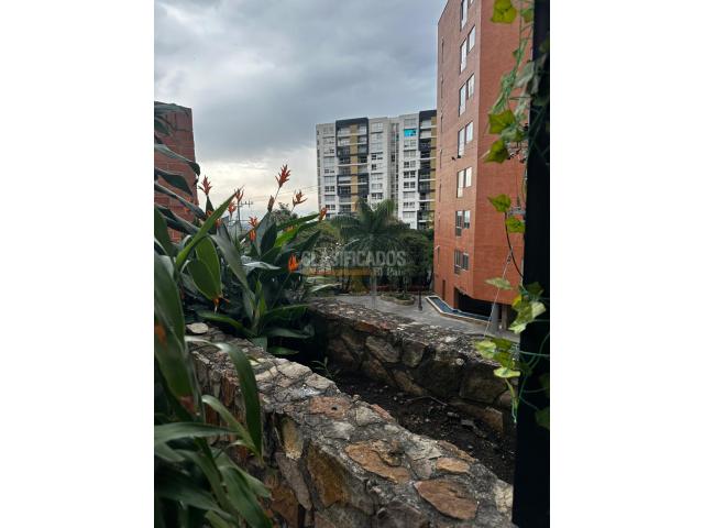 Apartamentos, Alquiler en Santa Isabel