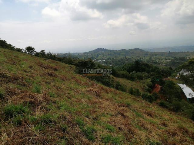 Lotes, Venta en Jamundí