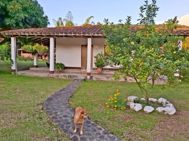 Casas, Venta en Ginebra