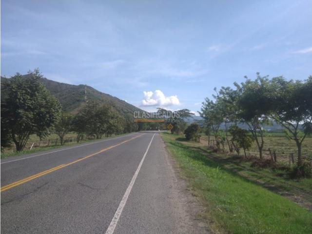 Lotes, Venta en Yotoco