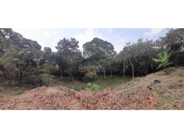 Lotes, Venta en Pance