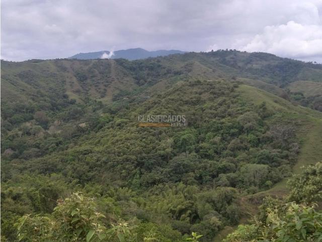 Fincas y Casas Campestres, Venta en Guacarí