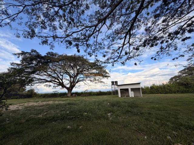 Lotes, Venta en Palmira