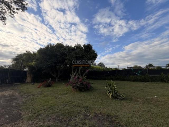 Lotes, Venta en Palmira